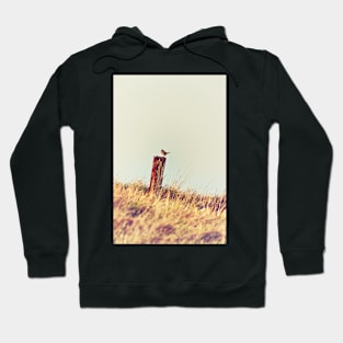 Stonechat Bird on Post Hoodie